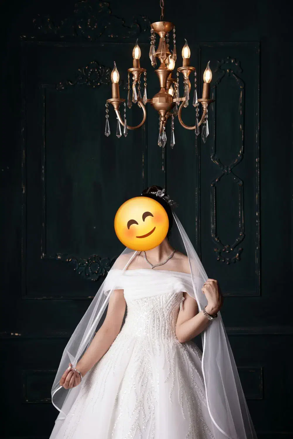 لباس عروس|لباس|تهران, تجریش|دیوار