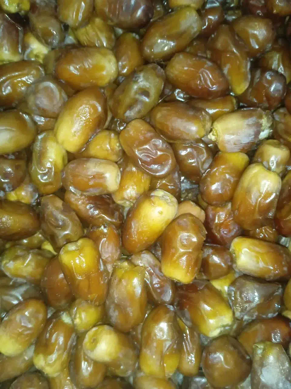 خرما و محصولات طبیعی مستقیم از تولید کننده|خوردنی و آشامیدنی|تهران, تهرانپارس جنوبی|دیوار