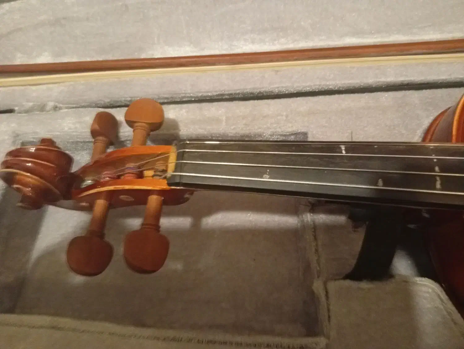 ویولن|ویولن|سنندج, |دیوار