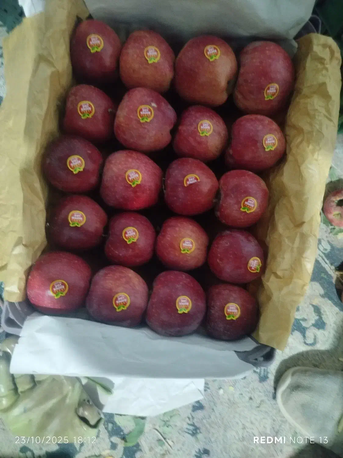 سیب|عمده‌فروشی|سرشیو, |دیوار