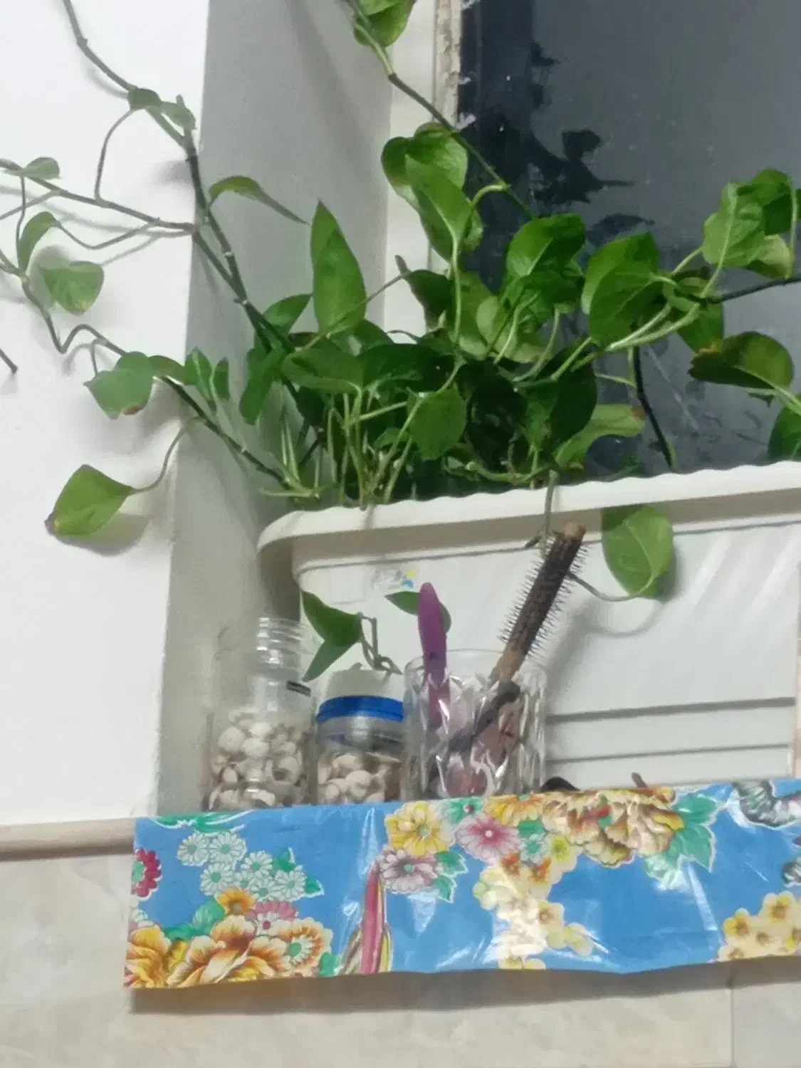 اتاق اجاره ای|اجارهٔ خانه و ویلا|قم, خاکفرج|دیوار