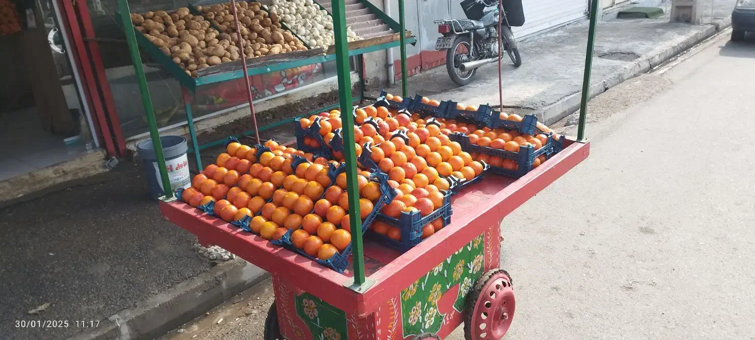 وسایل میوه فروشی|فروشگاه و مغازه|ساوه, |دیوار