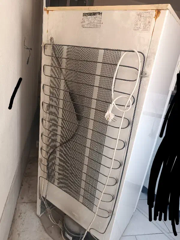 یخچال آزمایش 10 فوت|یخچال و فریزر|جهرم, |دیوار