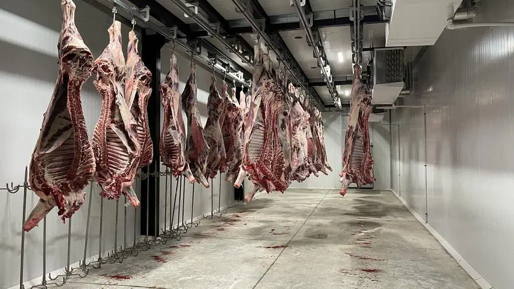 بازاریاب گوشت|استخدام بازاریابی و فروش|ری, علایین|دیوار