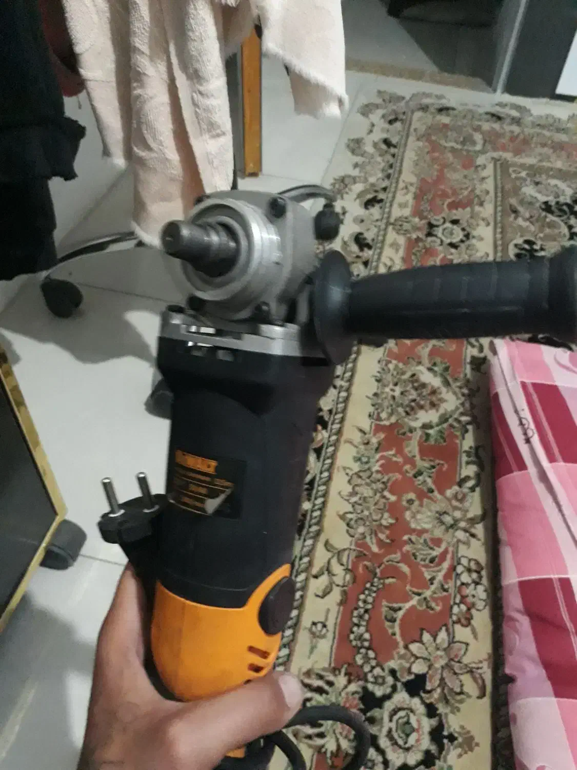 عروس مرغ عشق قناری طوطی پرنده ماشین و...مینا|پرنده|مشهد, محمدآباد|دیوار