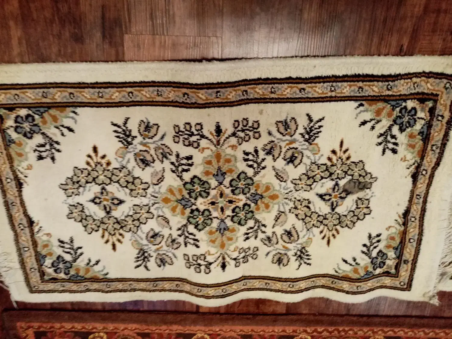 پادری 2 عدد|پادری|کرج, گلشهر|دیوار