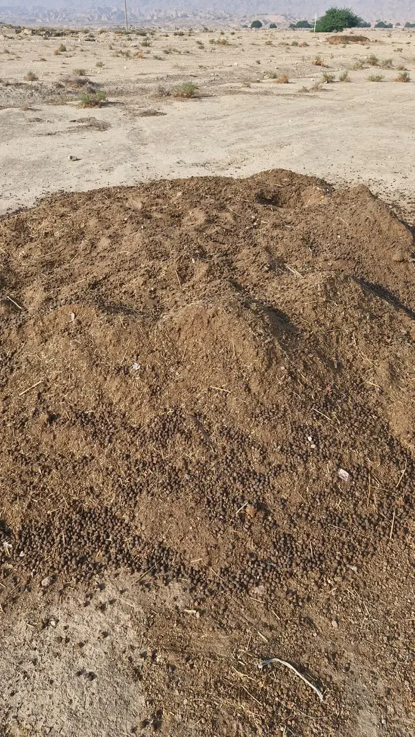 کود حیوانی بز|لوازم جانبی حیوانات|خورموج, |دیوار