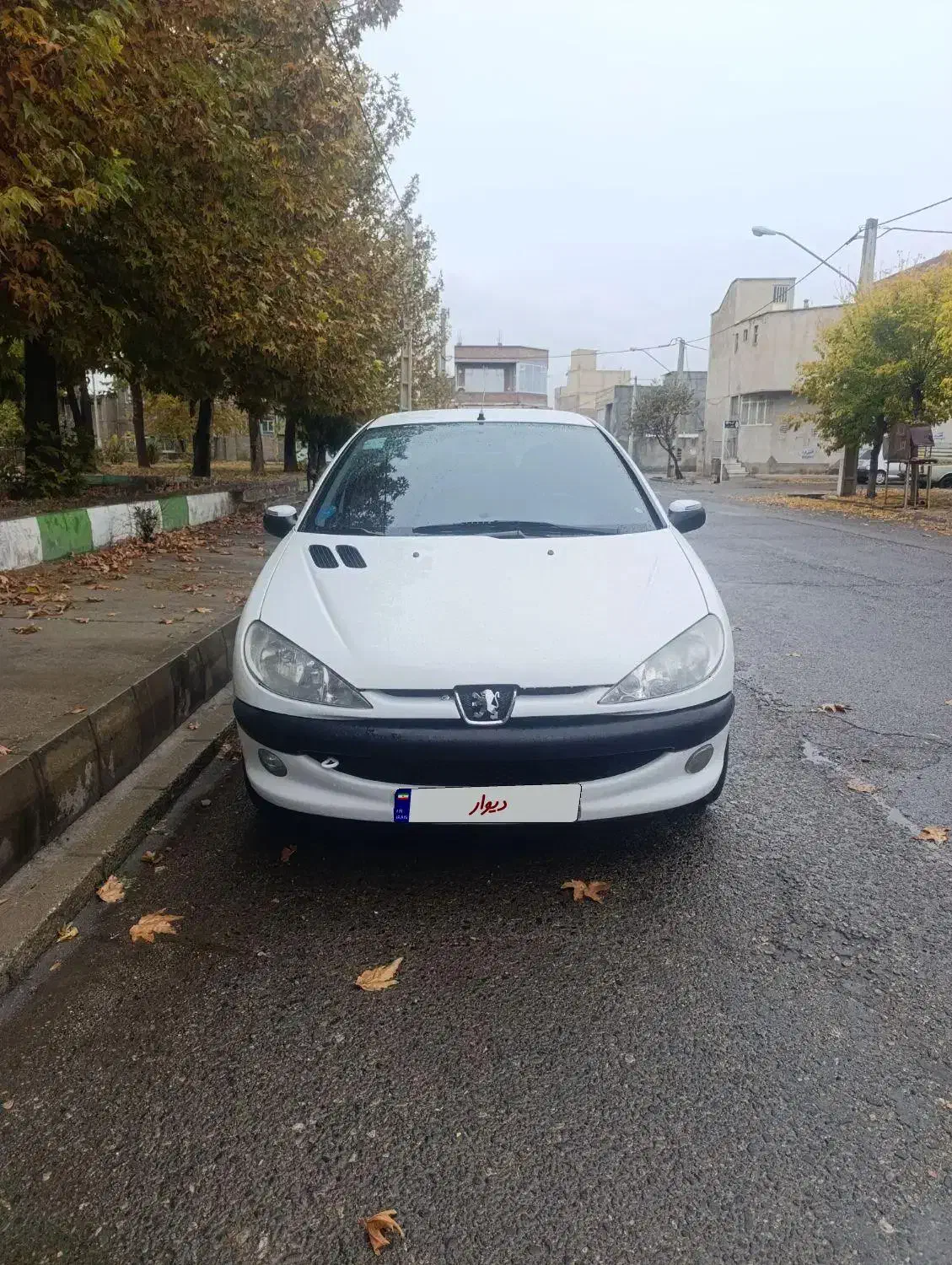 206 SD مدل 92|خودرو سواری و وانت|شاهین دژ, |دیوار