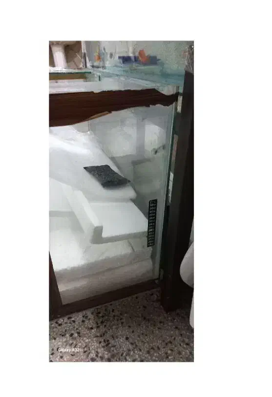 اکواریوم سالم وشیک|ماهی|دوگنبدان, |دیوار