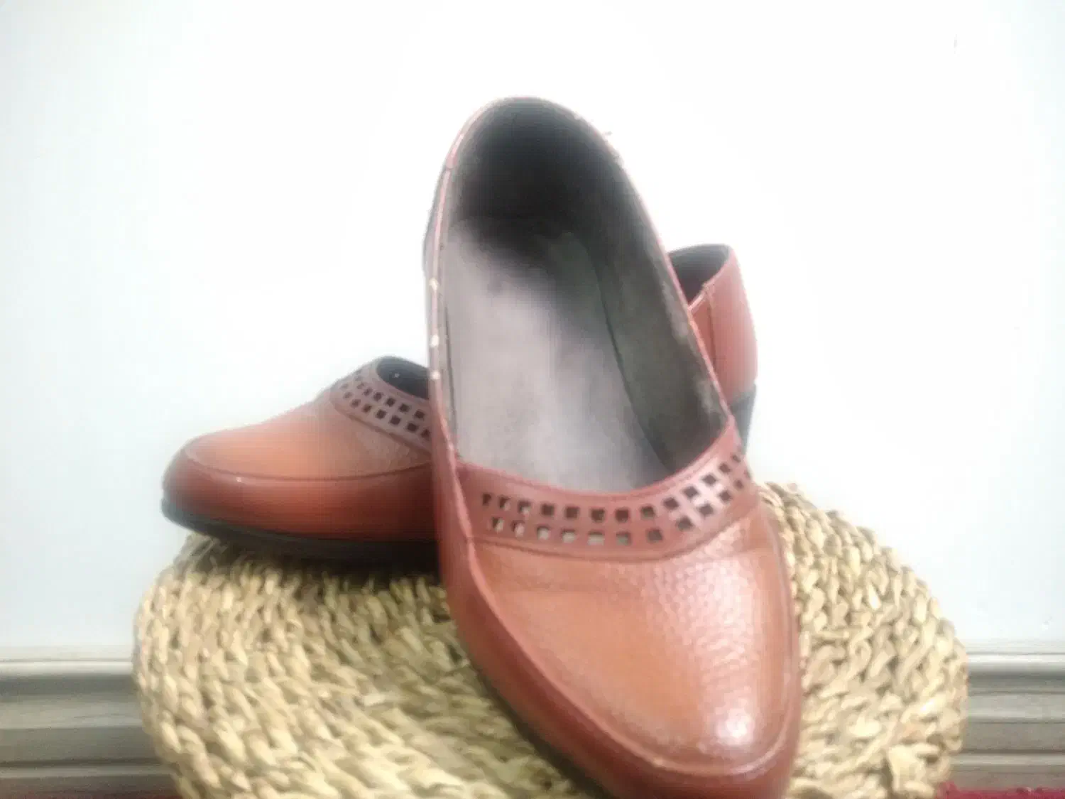 کفش|کیف، کفش، کمربند|شاهرود, |دیوار