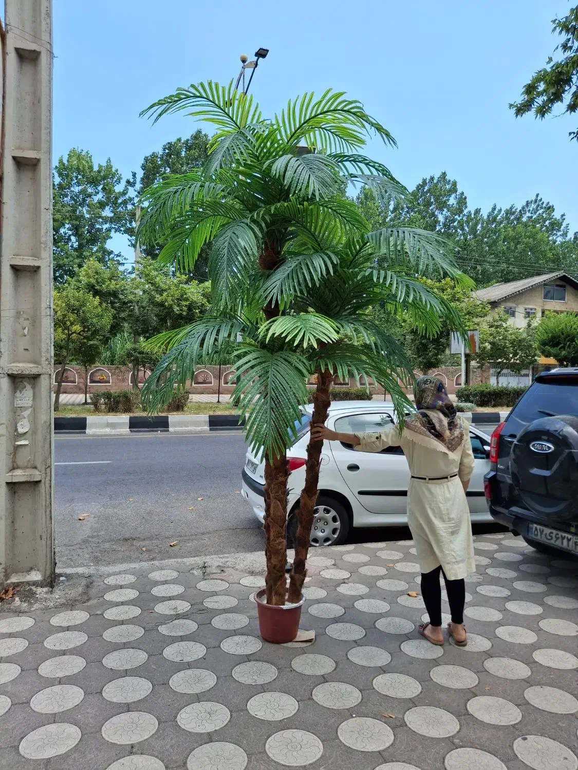 تولید درخت نخل مصنوعی|گل مصنوعی|لنگرود, |دیوار