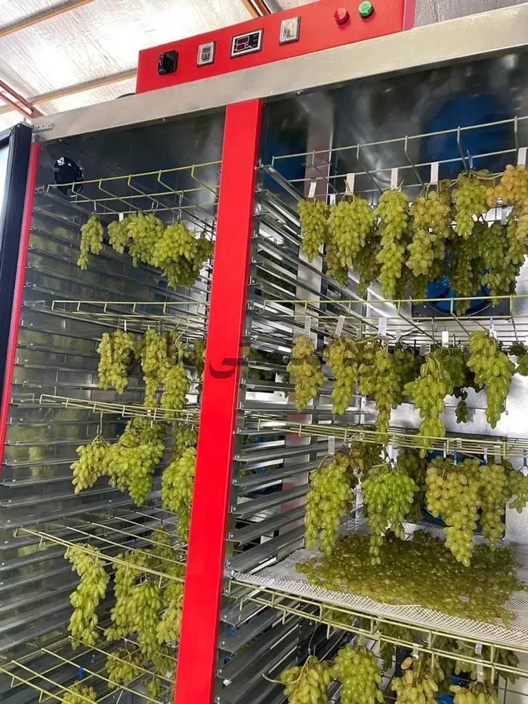 میوه خشک کن سبزی کنی صنعتی 60 سینی گازی * برقی|ماشینآلات صنعتی|اردبیل, |دیوار