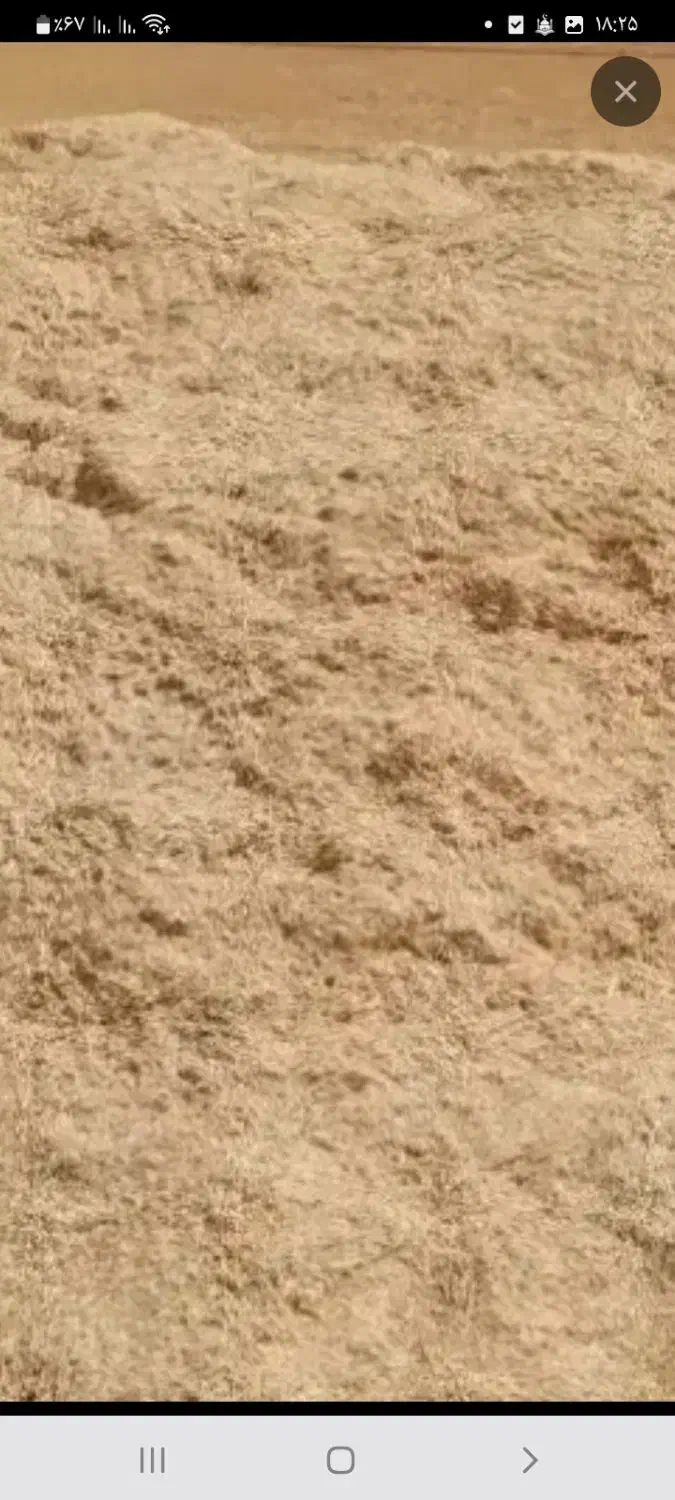 کاه|حیوانات مزرعه|دهگلان, |دیوار