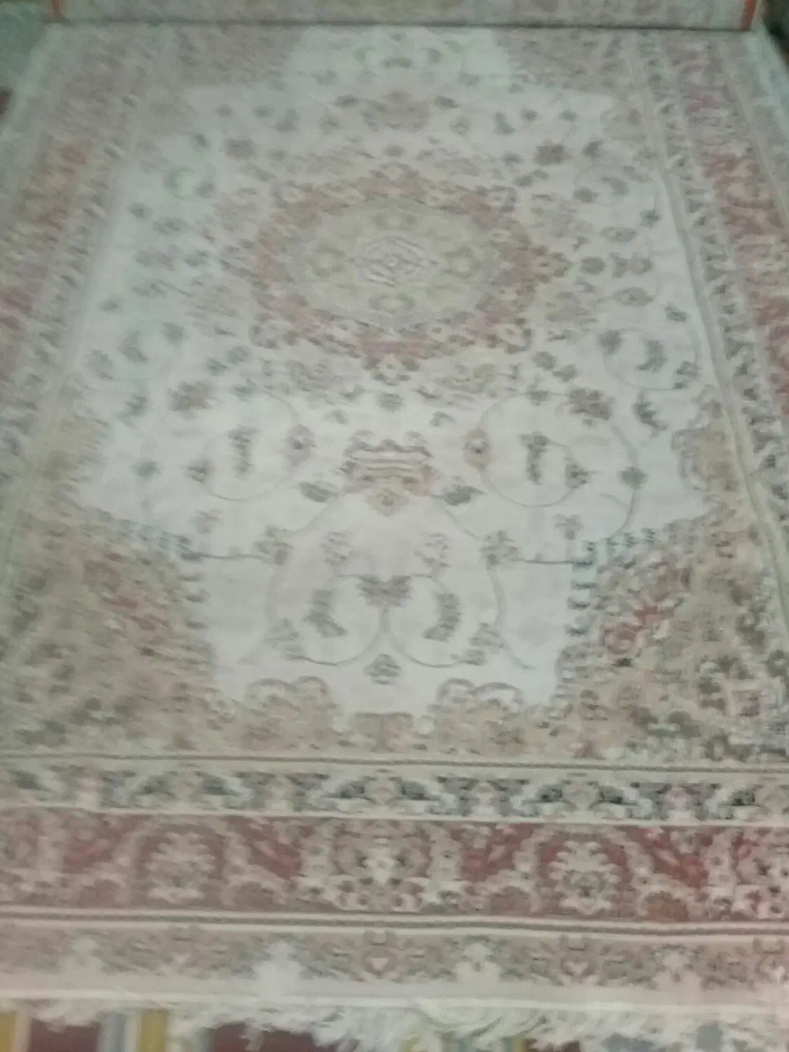 فرش ۶ متری|فرش|رشت, دیانتی|دیوار