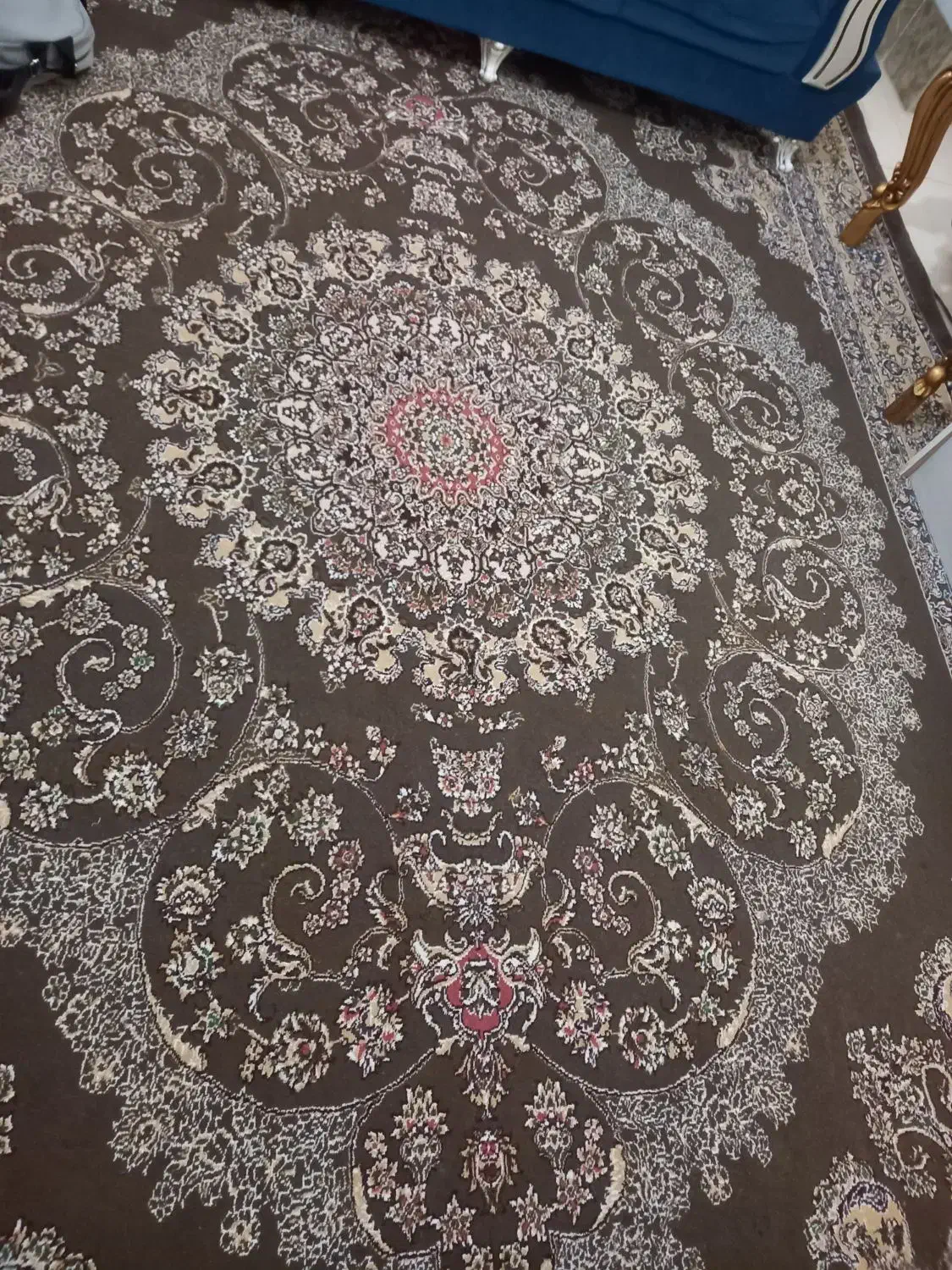 فرش ماشینی|فرش|دامغان, |دیوار