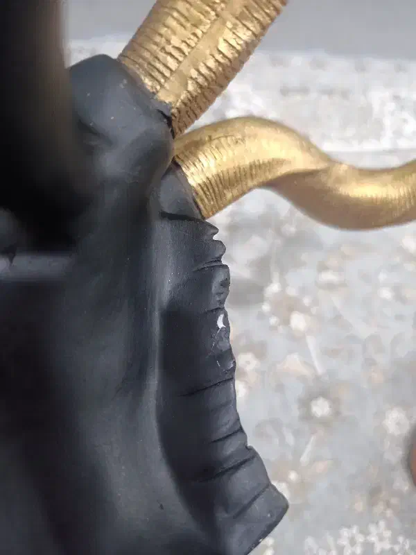 کله گوزن|صنایع دستی و سایر لوازم تزئینی|کرمانشاه, |دیوار