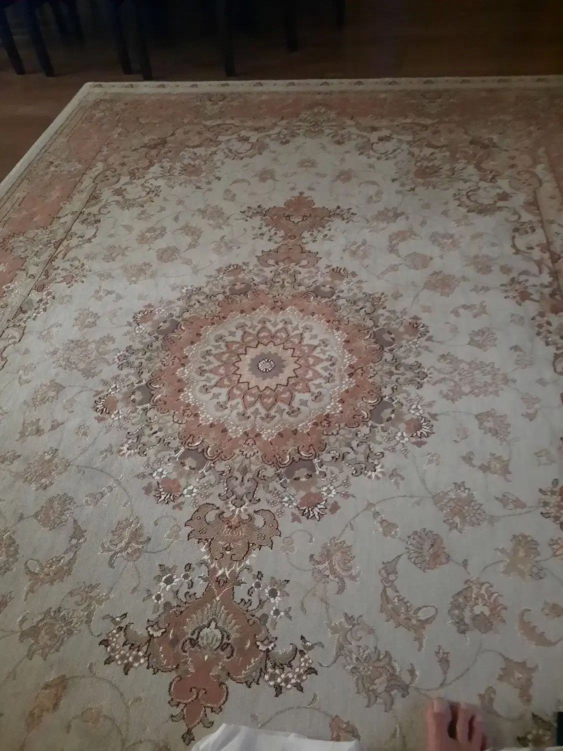 قالی دستباف ۶متری|فرش|قائمشهر, |دیوار