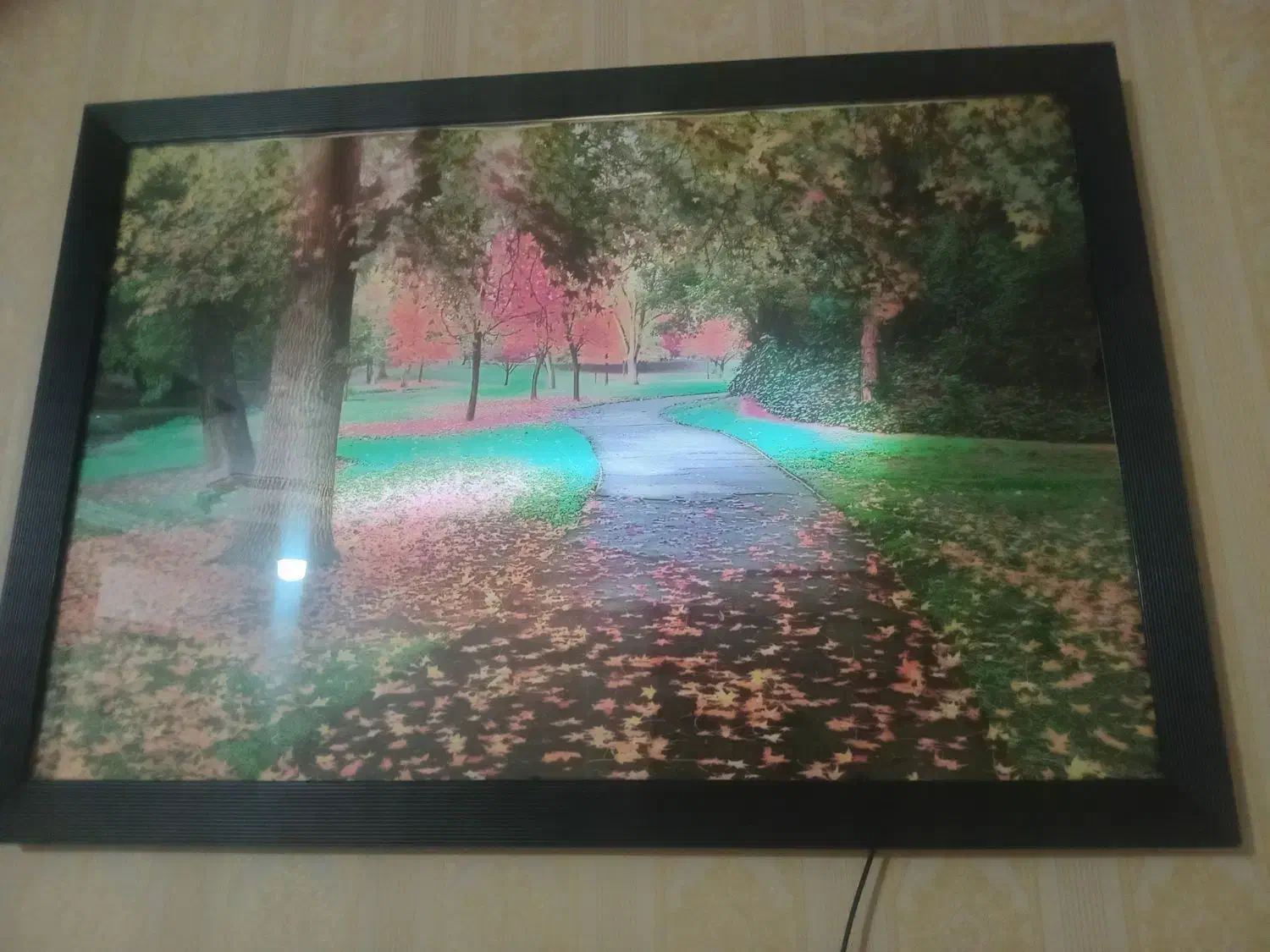 تابلو عکس|تابلو، نقاشی، عکس|رشت, آب آسیاب|دیوار