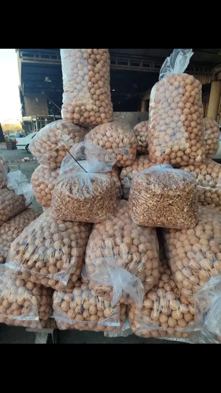 گردو خارجی 63 درصد مغز عمده|خوردنی و آشامیدنی|کوهدشت, |دیوار