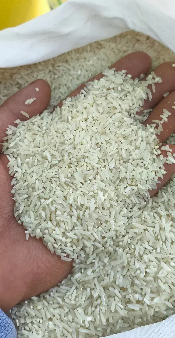 برنج سرلاشه درشت هاشمی|خوردنی و آشامیدنی|قم, سراجه (۱۵ خرداد)|دیوار