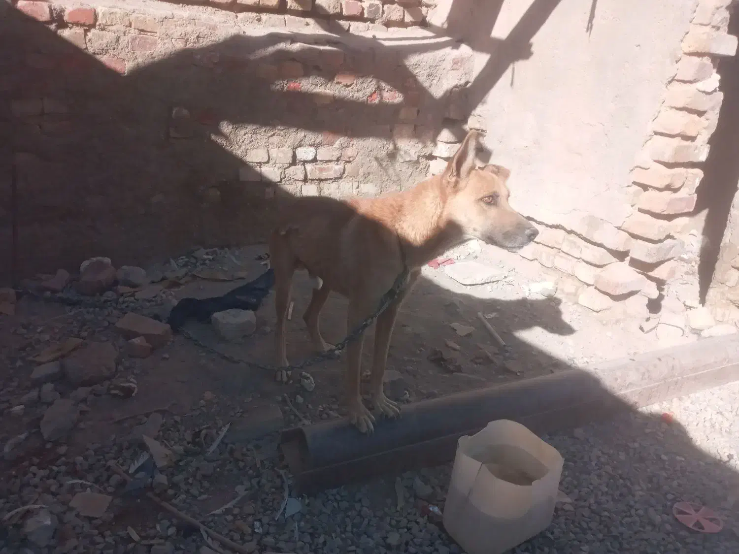 سلام کمد فروشی سک معاوضه میکنم با یک سک دیکه|جاکفشی، کمد، دراور|خاش, |دیوار