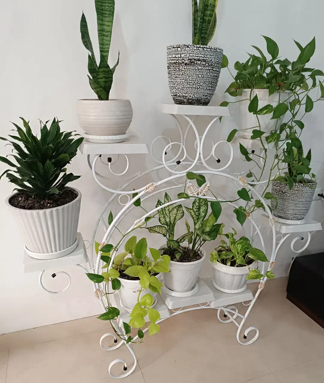 استندگل|مبلمان خانگی و میز عسلی|رشت, نخودچر|دیوار