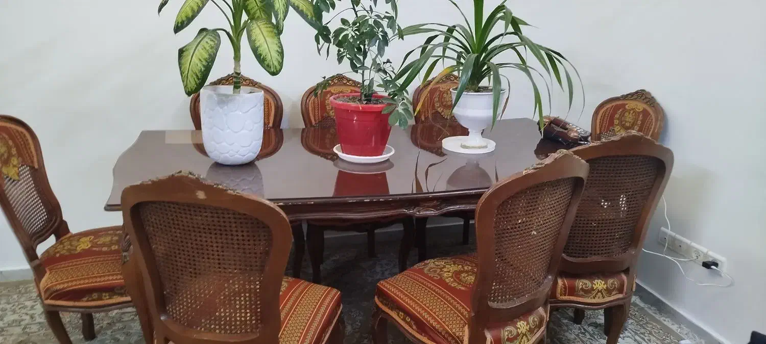 میز نهارخوری تمام چوب 8 نفره|میز و صندلی غذاخوری|شاندیز, |دیوار