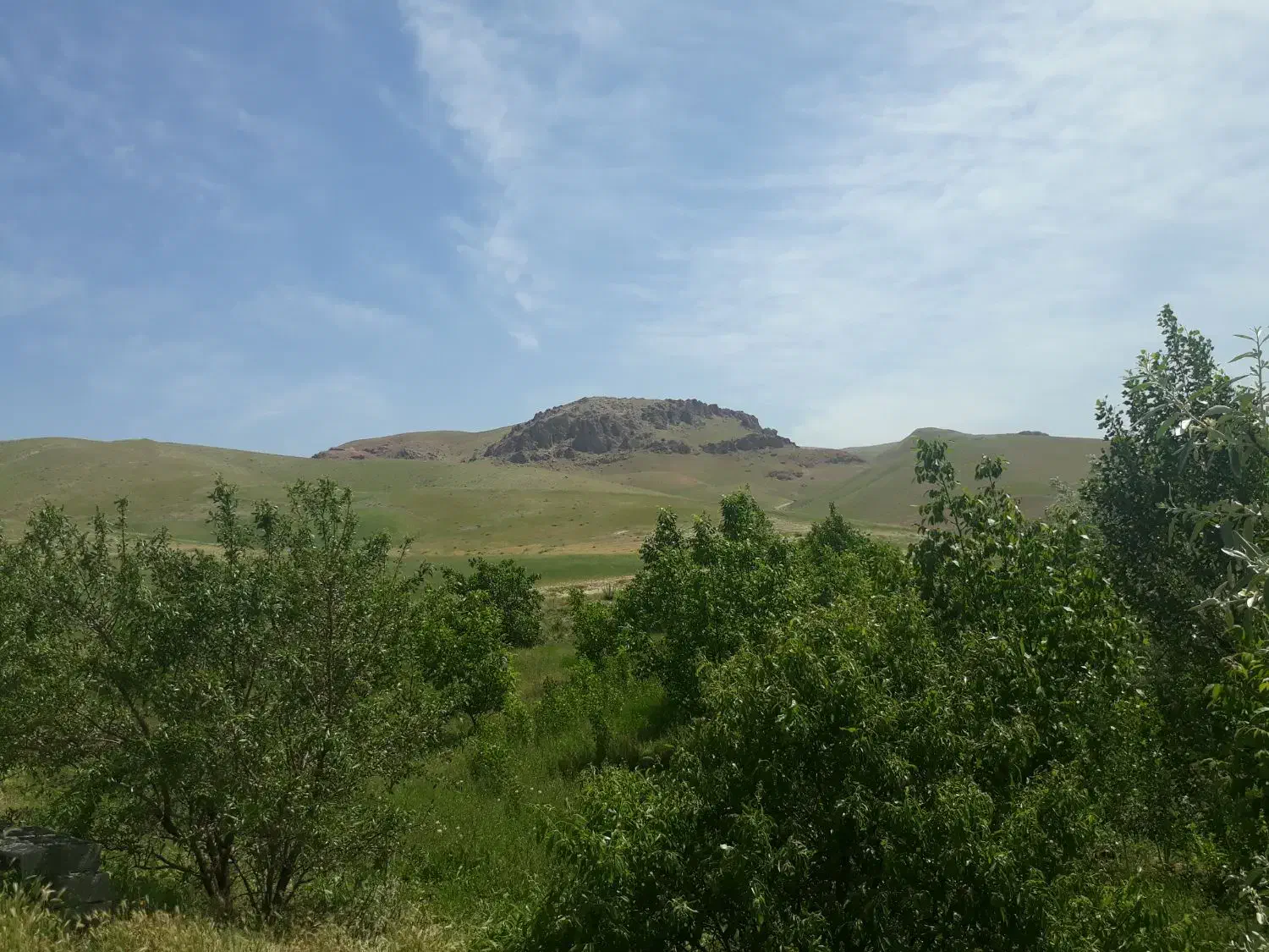 باغ و زمین|فروش زمین و ملک کلنگی|شاهین دژ, |دیوار