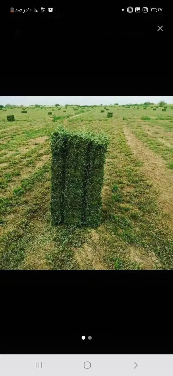 یونجه پرس|لوازم جانبی حیوانات|اهواز, اهواز|دیوار