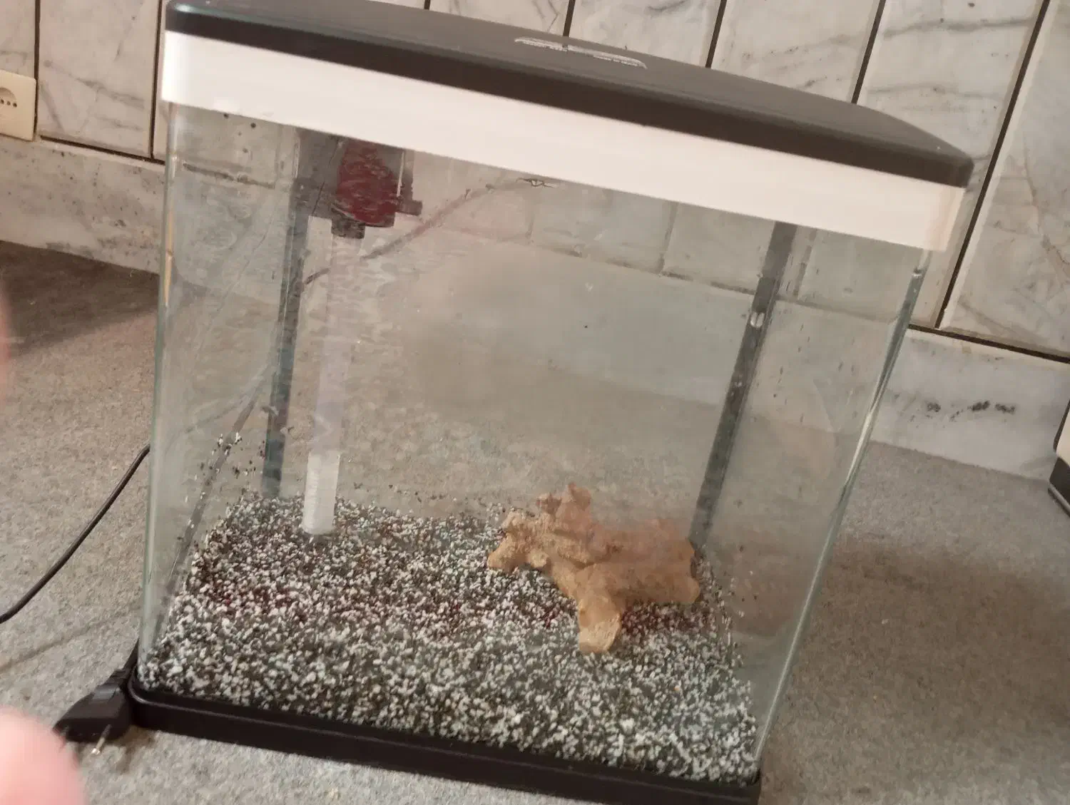 آکواریوم|ماهی|مبارکه, |دیوار