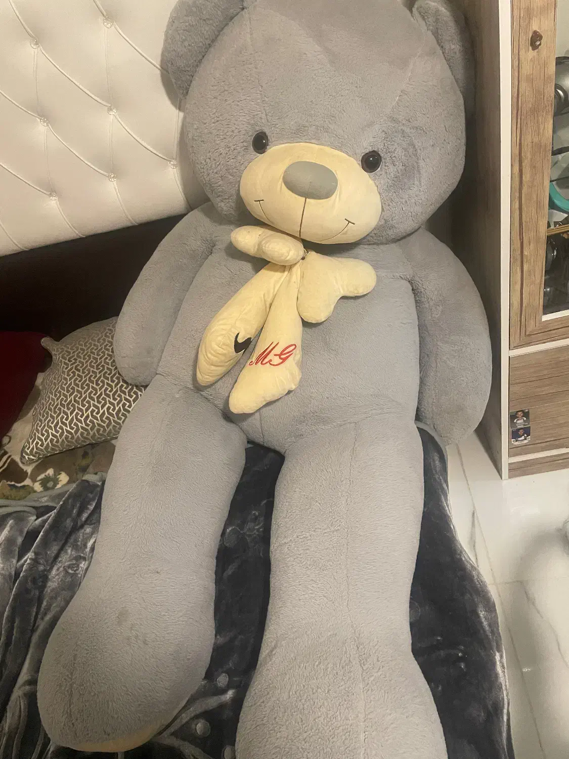 شاسخین|اسباببازی|همدان, |دیوار