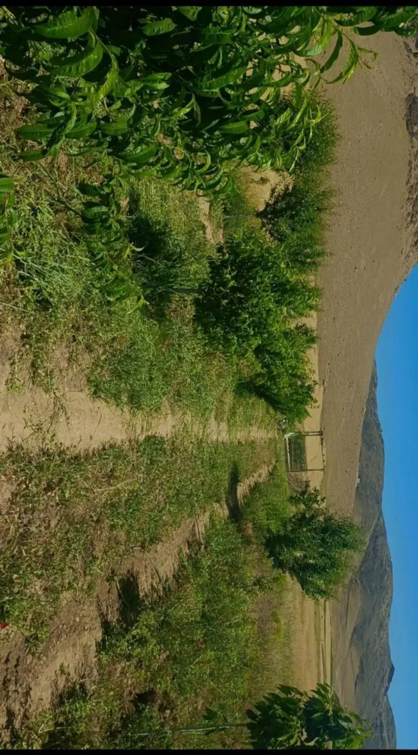 باغ|فروش زمین و ملک کلنگی|دینور, |دیوار