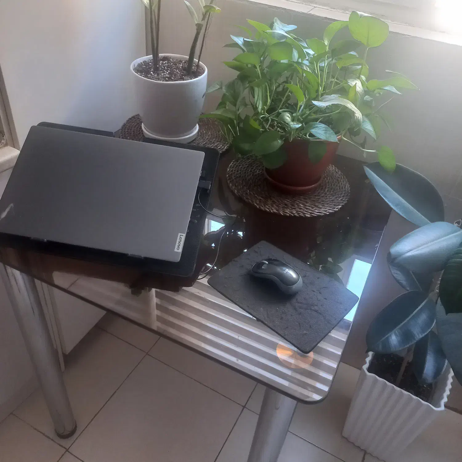 میز ناهارخوری|میز و صندلی غذاخوری|تهران, زرکش|دیوار