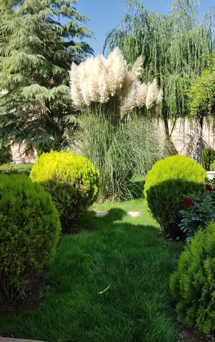 اجاره سالیانه باغ ویلای شهرکی در زیبادشت|اجارهٔ خانه و ویلا|محمدشهر, زیبادشت|دیوار