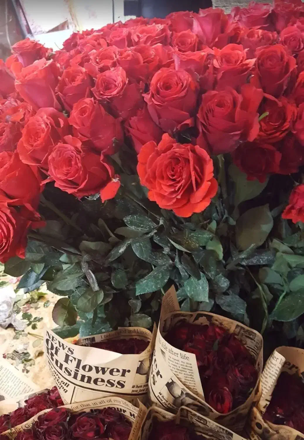 مشاوره میخام چمغازه ای بزنم|فعالیت داوطلبانه|قم, چهل درخت|دیوار