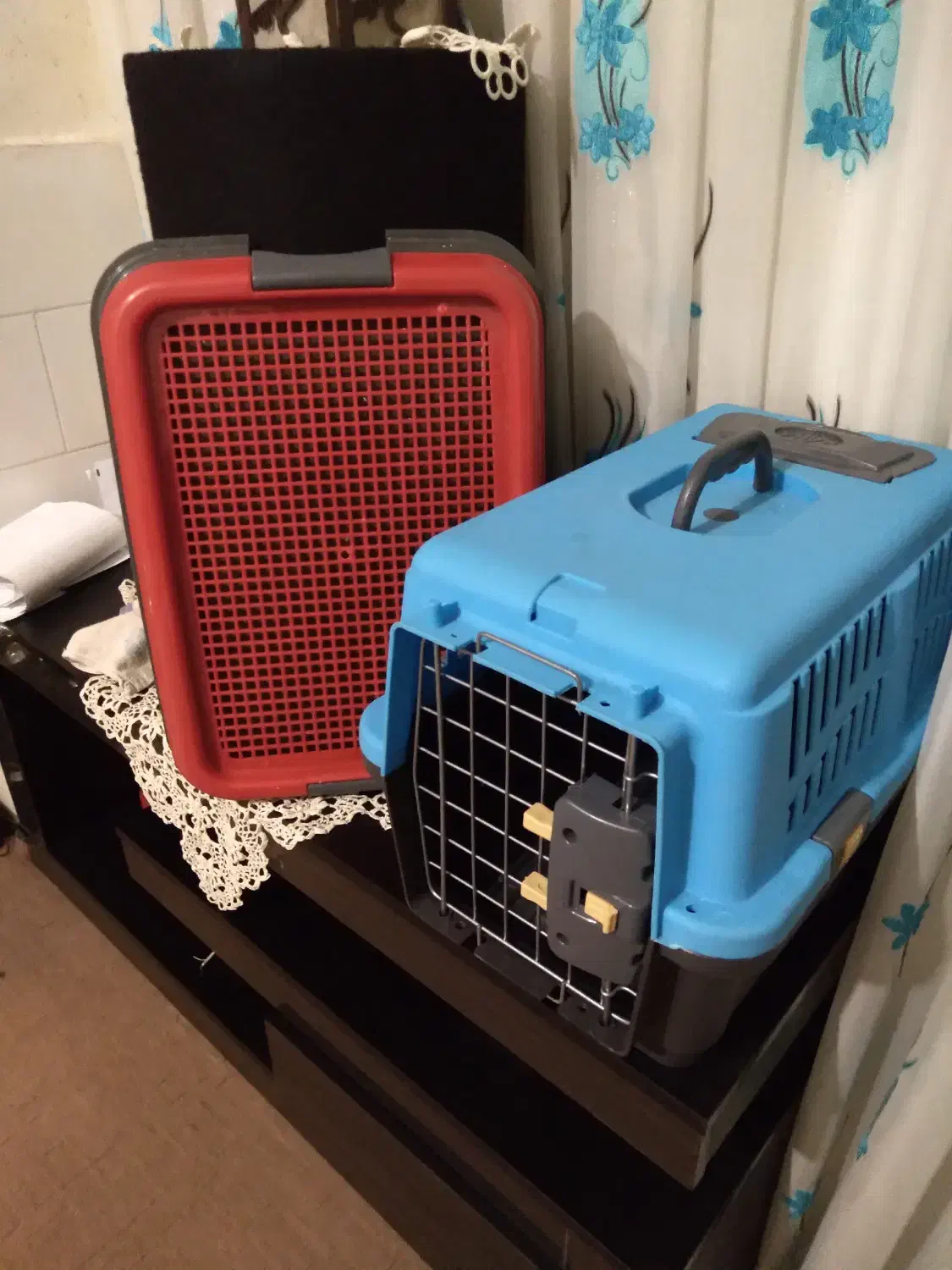 باکس سگ و گربه و دسشویی نو|لوازم جانبی حیوانات|قم, در بهشت|دیوار