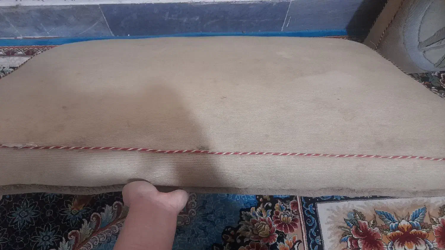 پشتی سالم ونو|پشتی|کرباسک, |دیوار