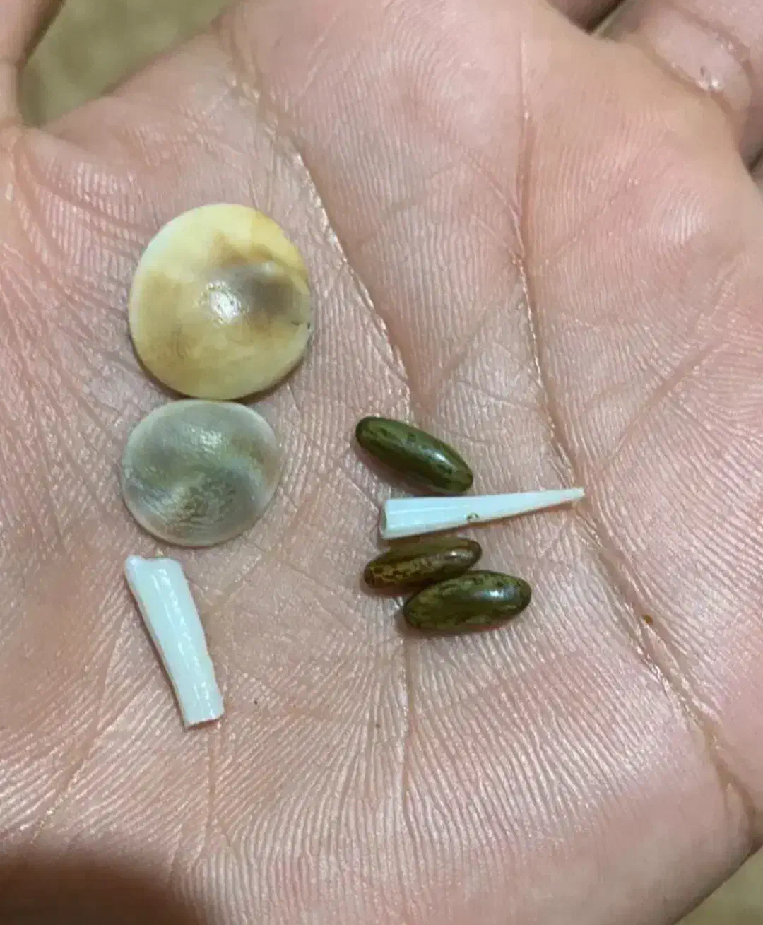 مهره|کلکسیون اشیاء عتیقه|سراوان, |دیوار