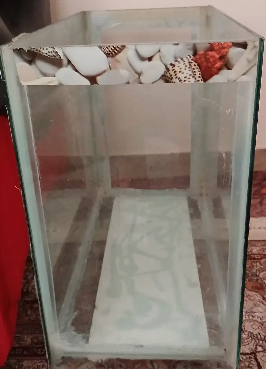 آکواریوم|ماهی|قم, پردیسان|دیوار