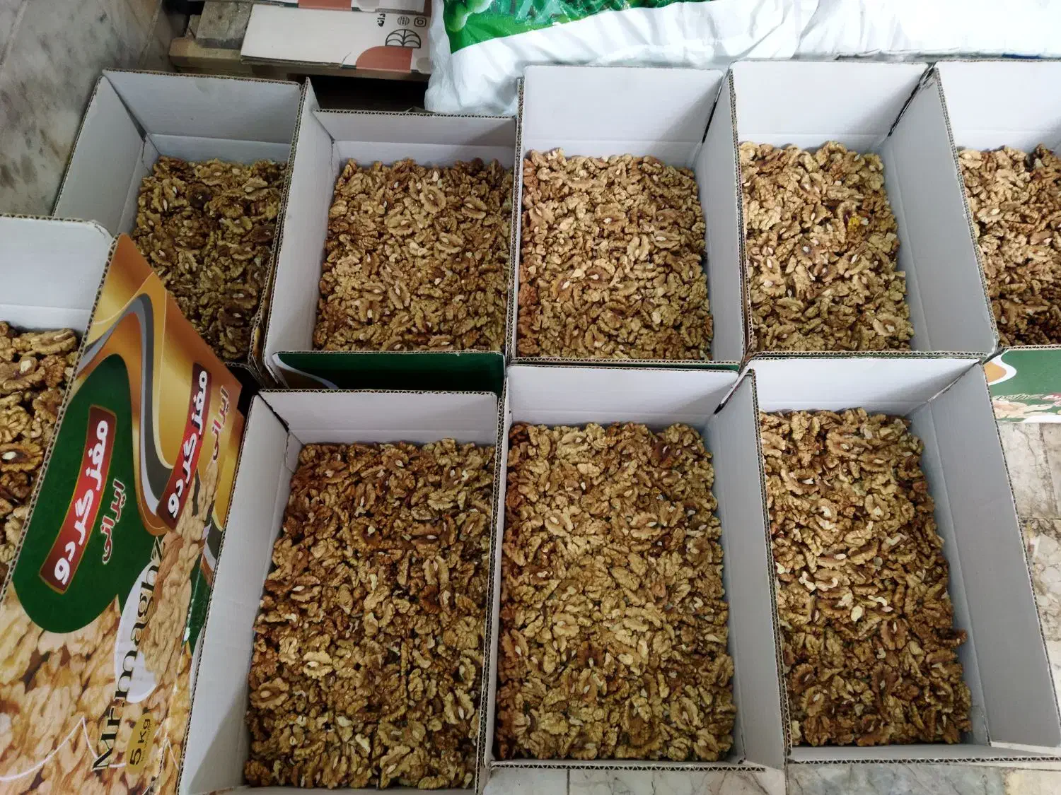 مغز گردو سفید امسالی|حراج|مشهد, کارمندان دوم|دیوار