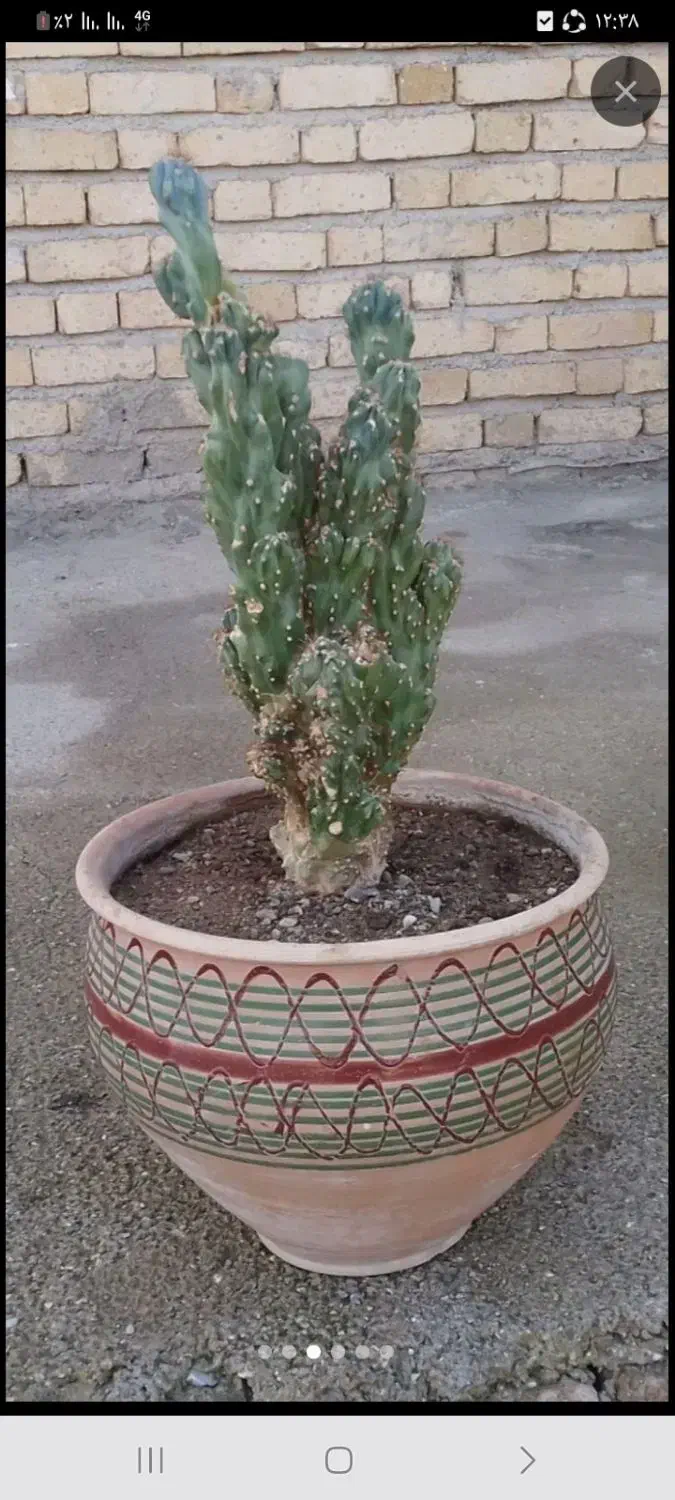 سرگرمی و فراغت|اسباب‌‌بازی|نهاوند, |دیوار