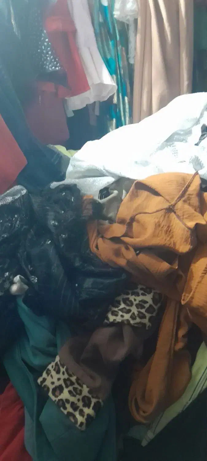 لباس دست دوم به علت جمع آوری مغازه|حراج|اردبیل, |دیوار