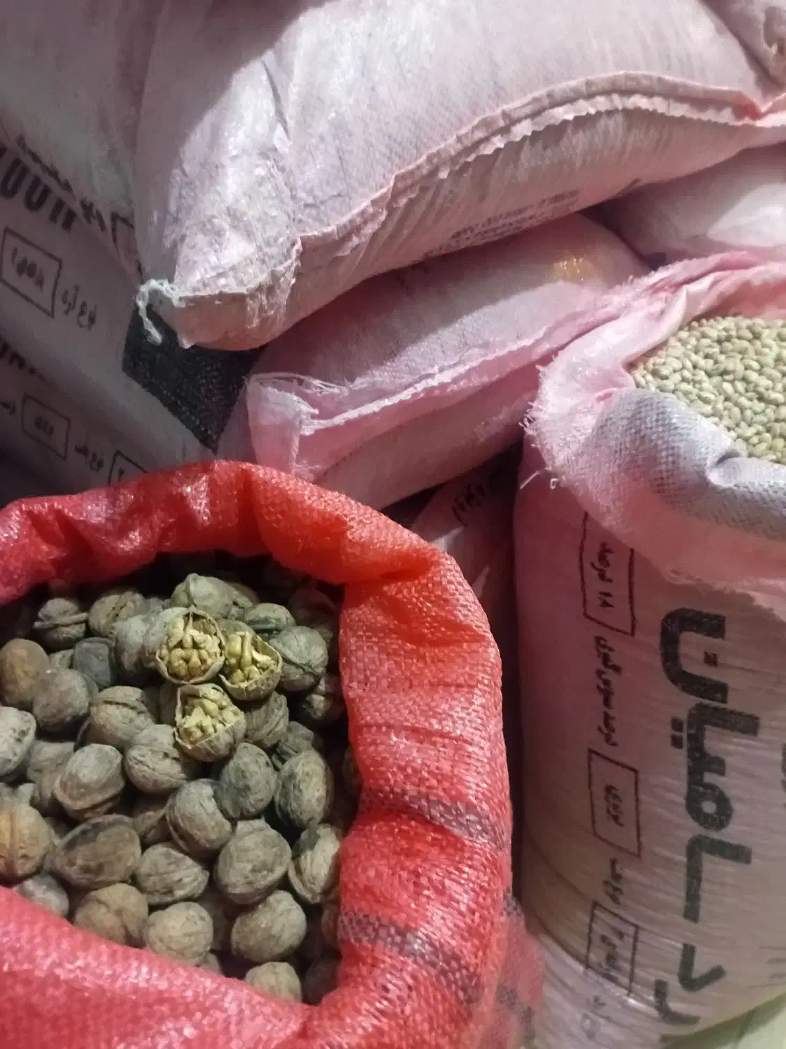 لوبیا چیتی تازه|خوردنی و آشامیدنی|قصابه, |دیوار