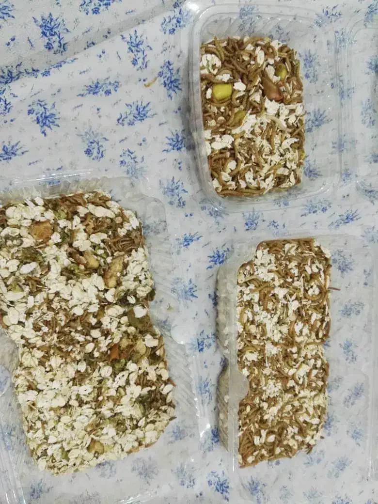 کرم میلورم|خزنده|آبادان, |دیوار