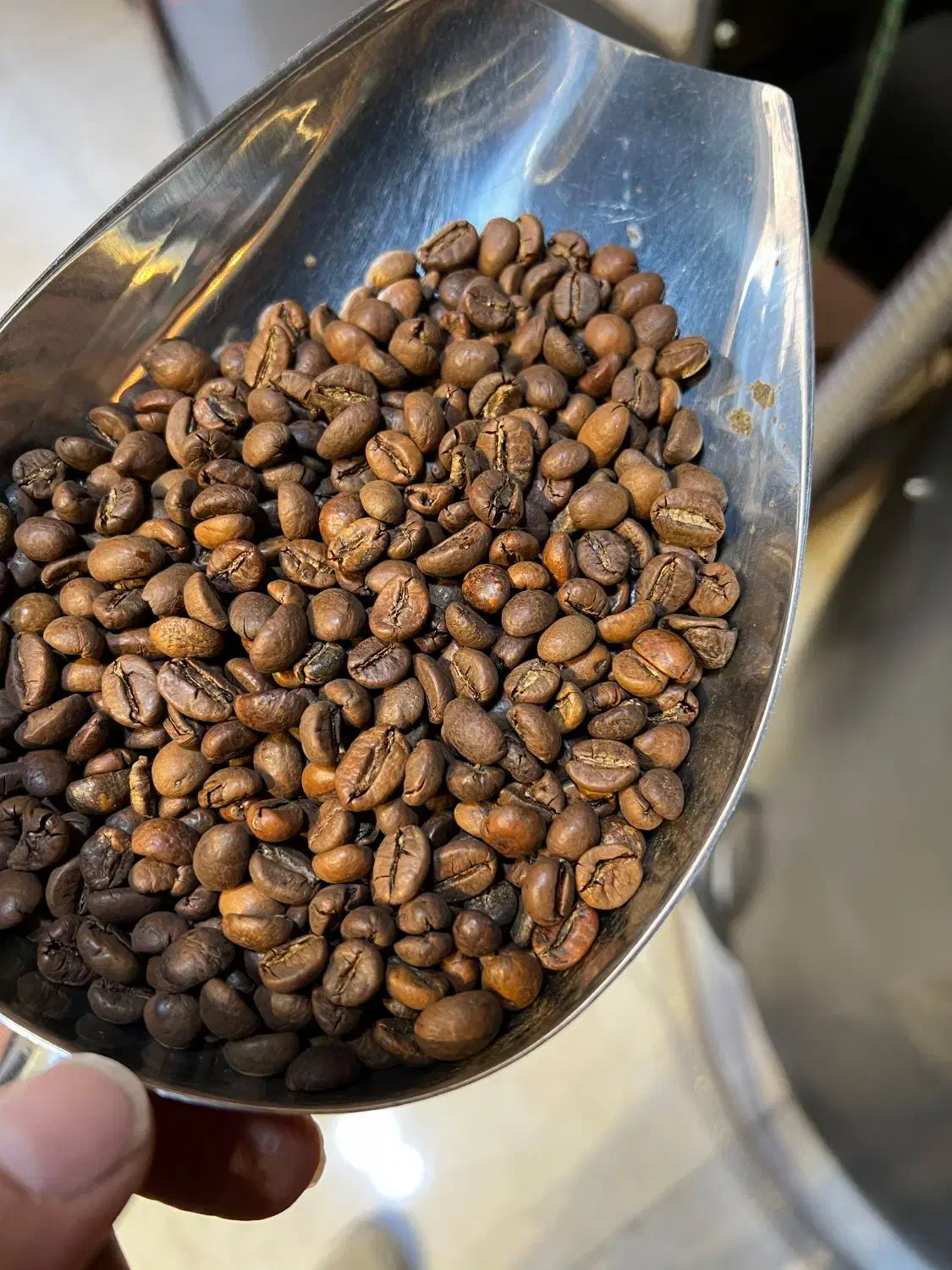 فروش عمده دان قهوه رست شده زیر قیمت بازار|کافی‌شاپ و رستوران|رباط‌کریم, نصیرشهر|دیوار