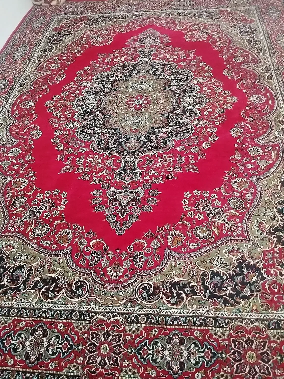 قالی نو نو|فرش|دورود, |دیوار