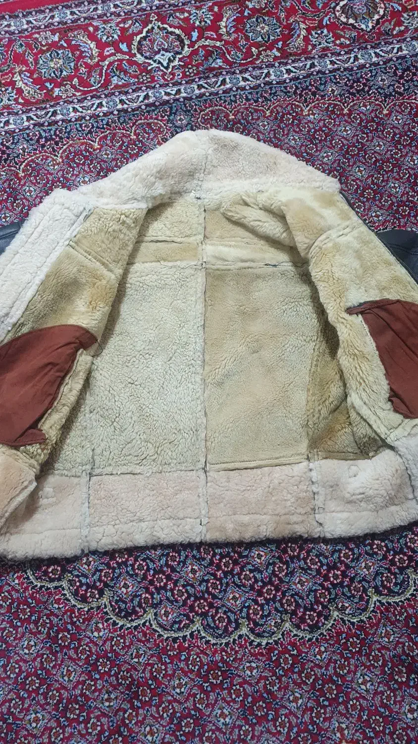 بوفالو خارجی اصل|لباس|کامیاران, |دیوار