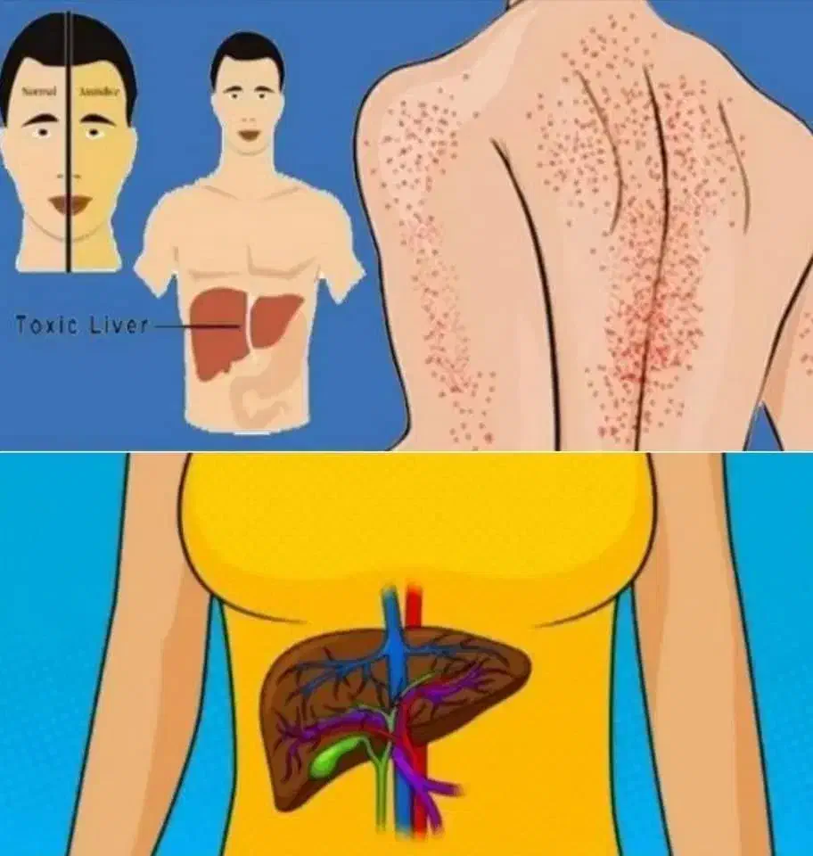 دمنوشا گیاهی طب سنتی|آرایشی، بهداشتی، درمانی|خرامه, |دیوار