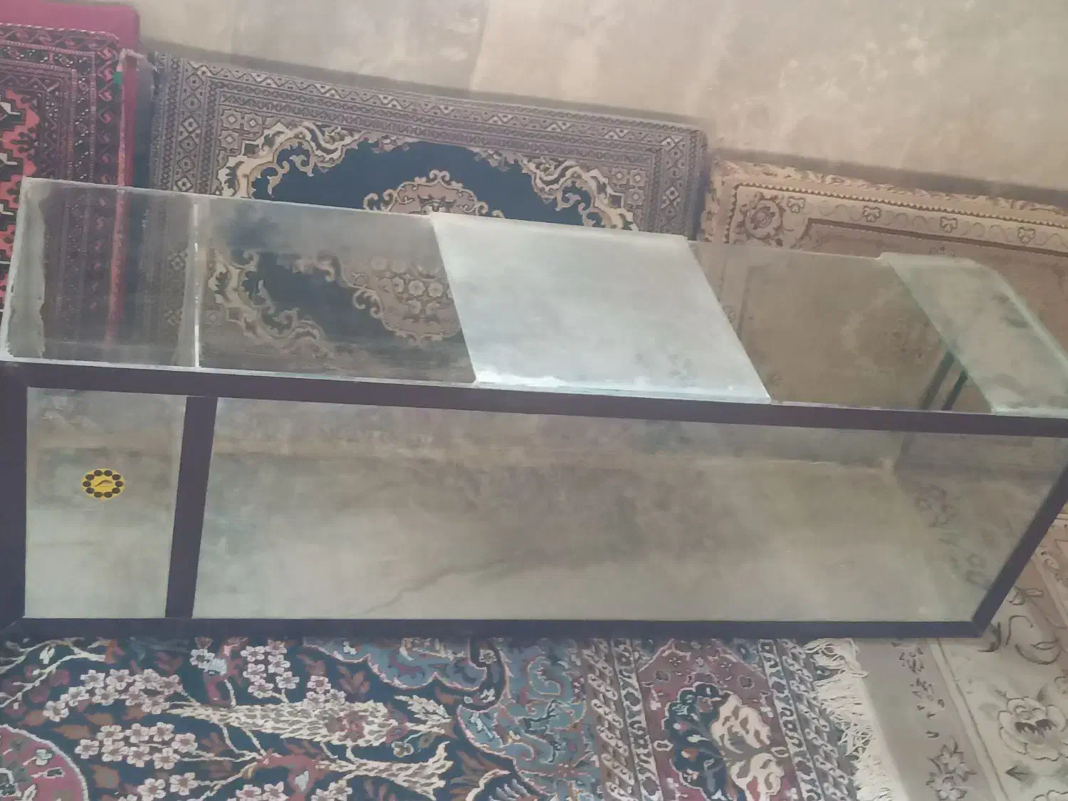 اکواریوم|ماهی|همدان, |دیوار