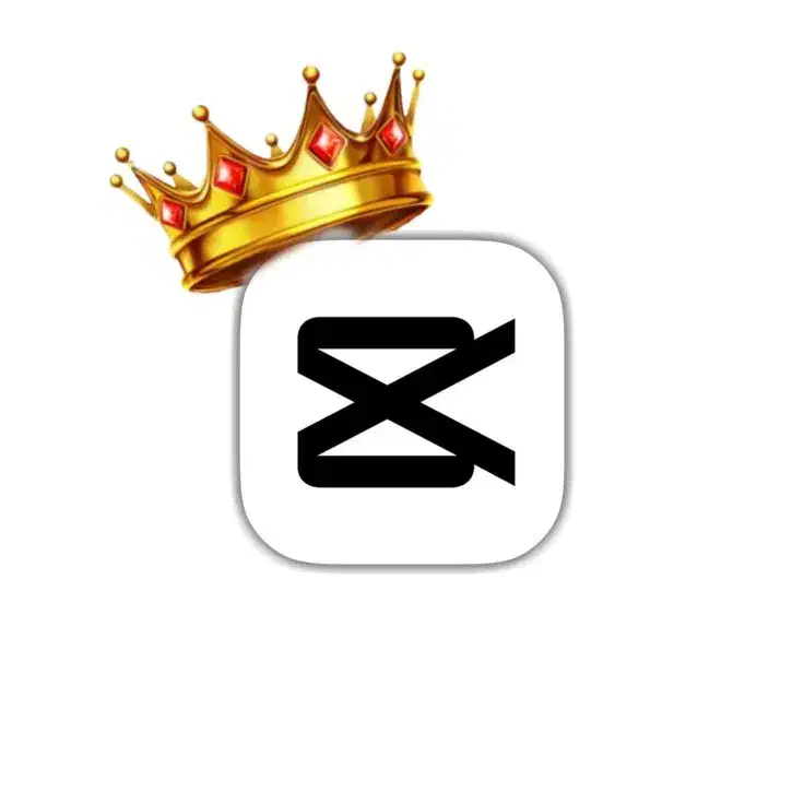 ادیتور تخصصی ویدیو با کپکات برای اینستاگرام و...|خدمات رایانه‌ای و موبایل|تهران, ایرانشهر|دیوار